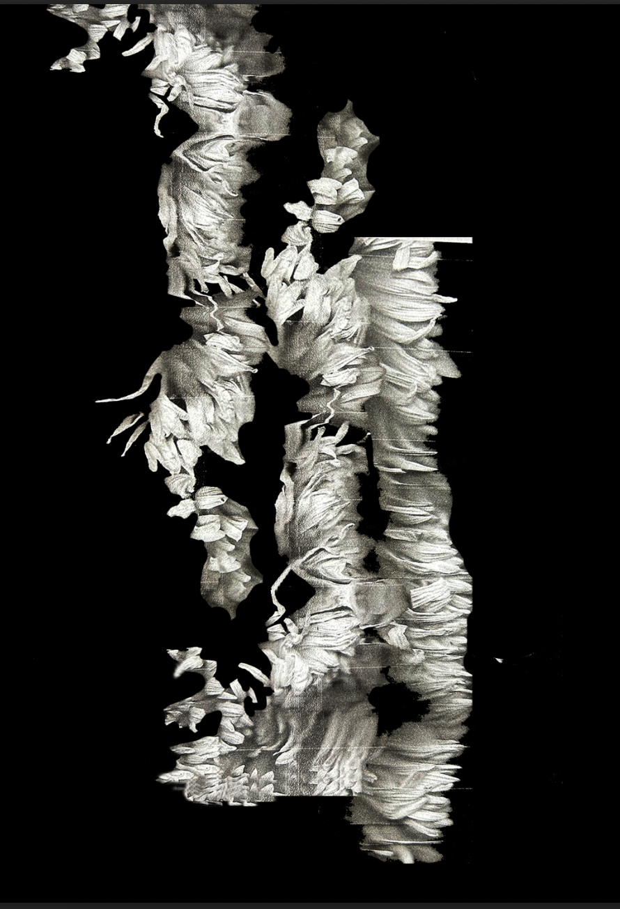 Digital print i svart och vitt med veckad, organisk struktur, designad av Elvira Dahlberg”